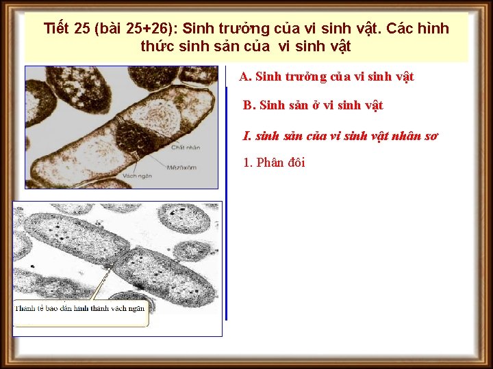 Tiết 25 (bài 25+26): Sinh trưởng của vi sinh vật. Các hình thức sinh