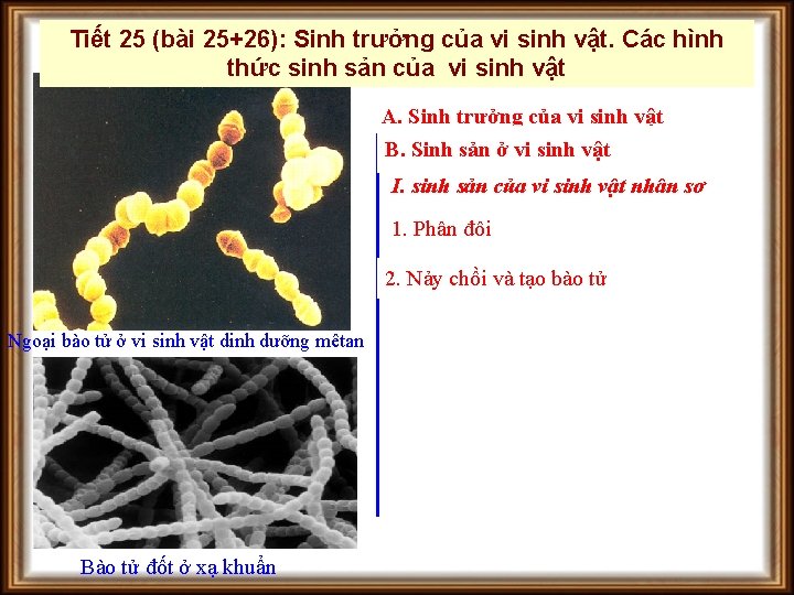 Tiết 25 (bài 25+26): Sinh trưởng của vi sinh vật. Các hình thức sinh