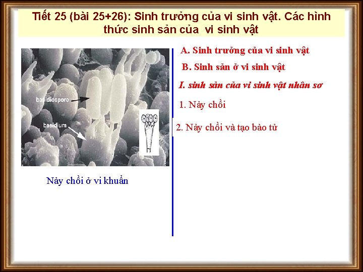 Tiết 25 (bài 25+26): Sinh trưởng của vi sinh vật. Các hình thức sinh