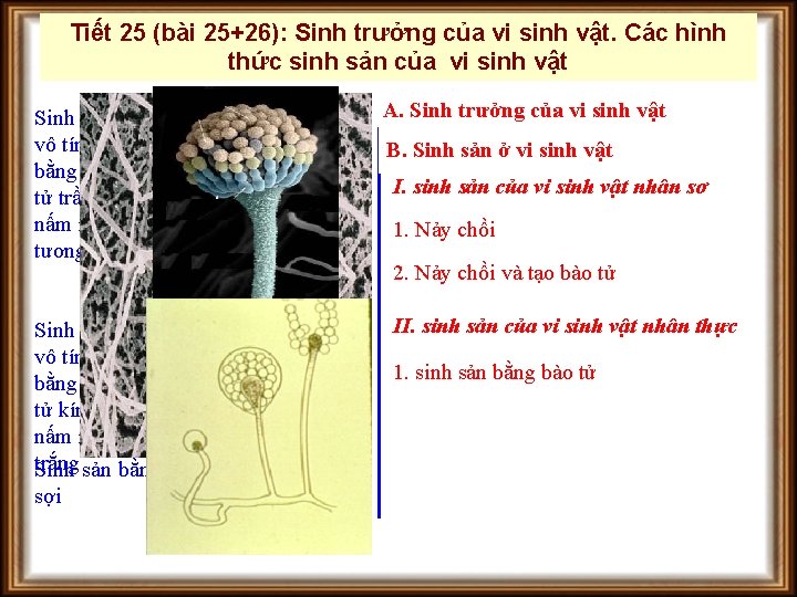 Tiết 25 (bài 25+26): Sinh trưởng của vi sinh vật. Các hình thức sinh