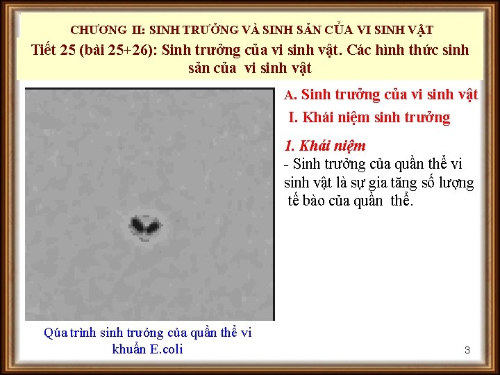 CHƯƠNG II: SINH TRƯỞNG VÀ SINH SẢN CỦA VI SINH VẬT Tiết 25 (bài