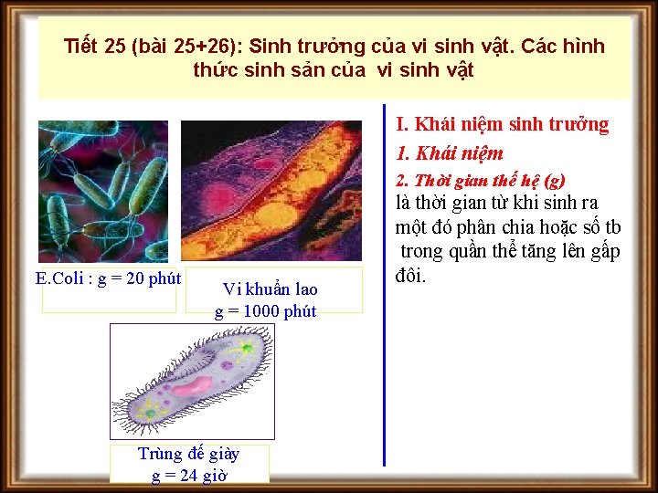 Tiết 25 (bài 25+26): Sinh trưởng của vi sinh vật. Các hình thức sinh