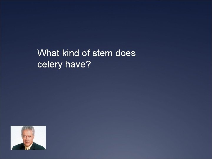 What kind of stem does celery have? 