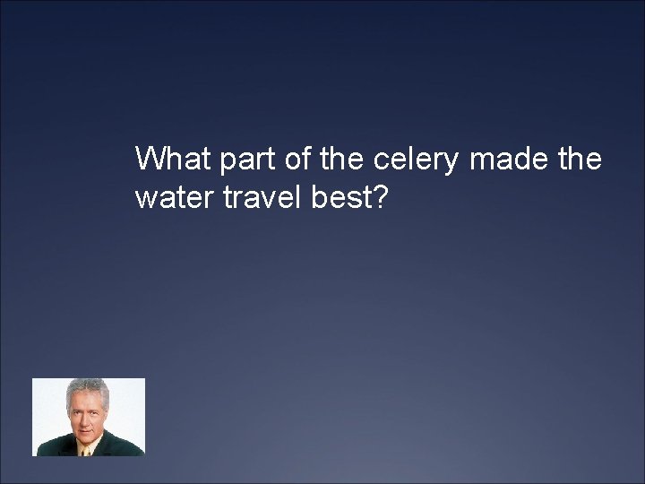 What part of the celery made the water travel best? 