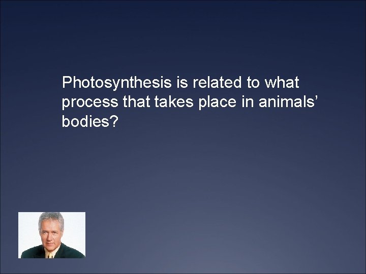 Photosynthesis is related to what process that takes place in animals’ bodies? 