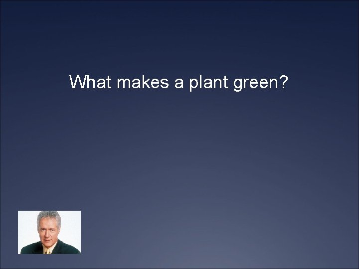 What makes a plant green? 