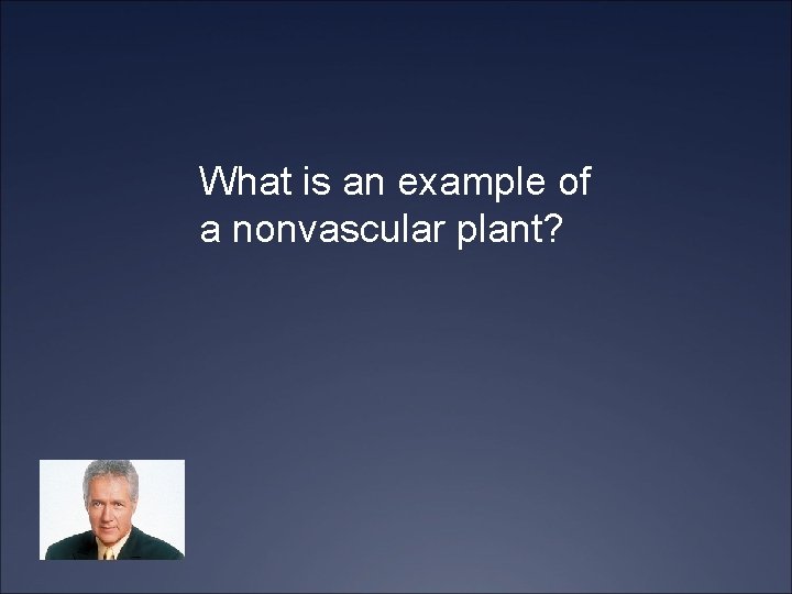 What is an example of a nonvascular plant? 