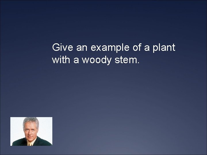 Give an example of a plant with a woody stem. 