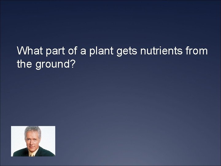 What part of a plant gets nutrients from the ground? 