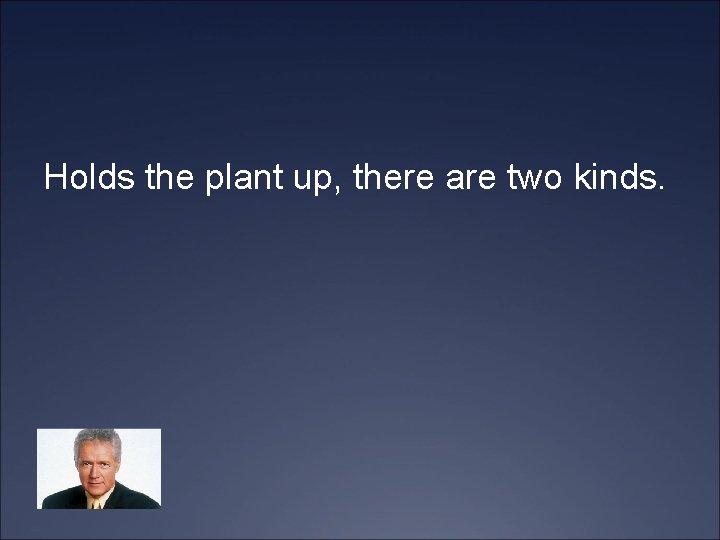 Holds the plant up, there are two kinds. 