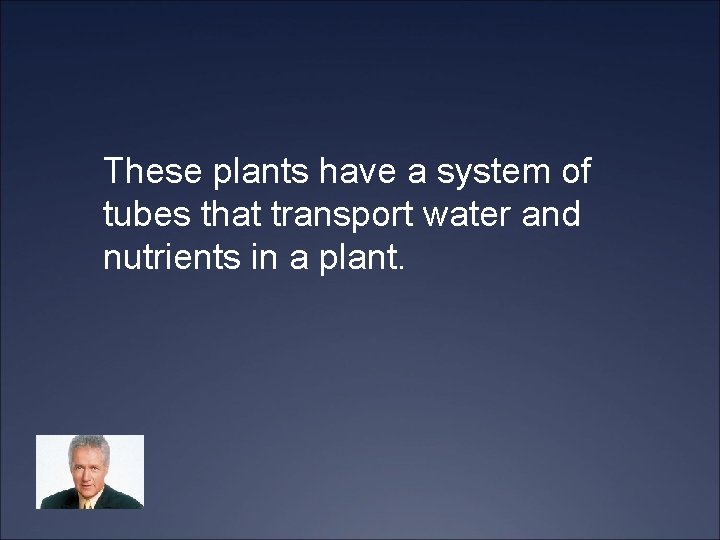 These plants have a system of tubes that transport water and nutrients in a