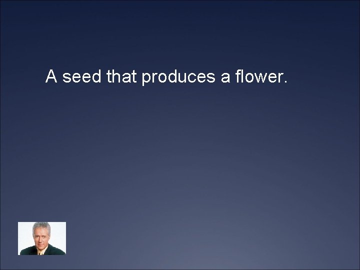 A seed that produces a flower. 