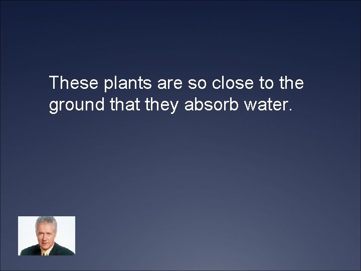 These plants are so close to the ground that they absorb water. 