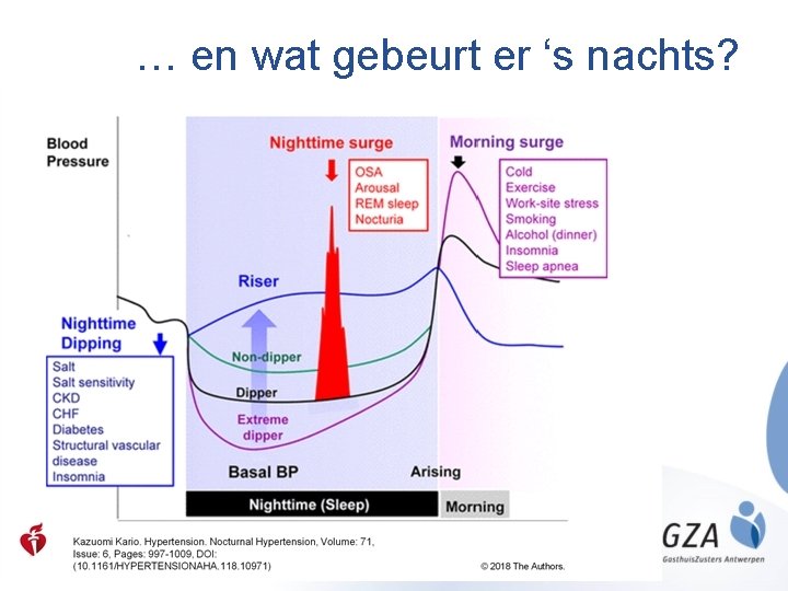 … en wat gebeurt er ‘s nachts? 