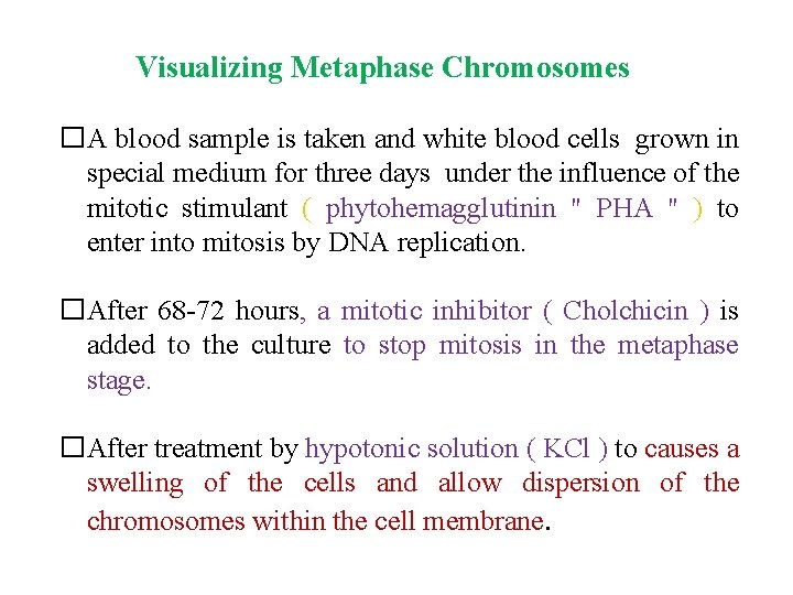 Visualizing Metaphase Chromosomes �A blood sample is taken and white blood cells grown in