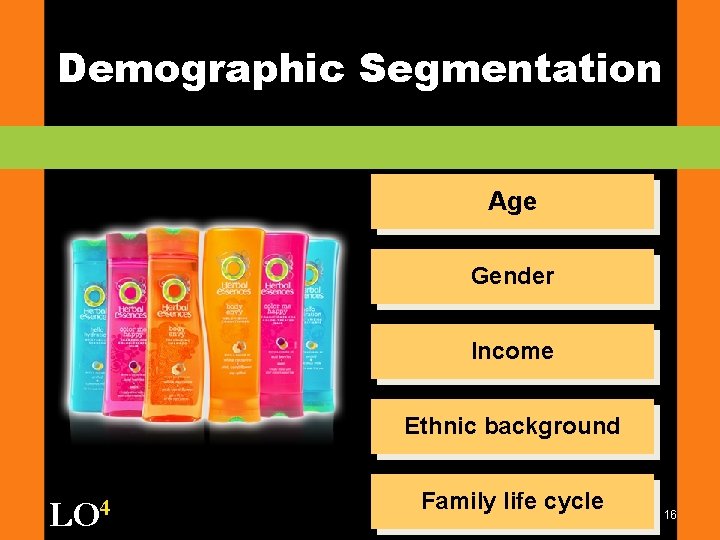 Demographic Segmentation Age Gender Income Ethnic background LO 4 Family life cycle 16 