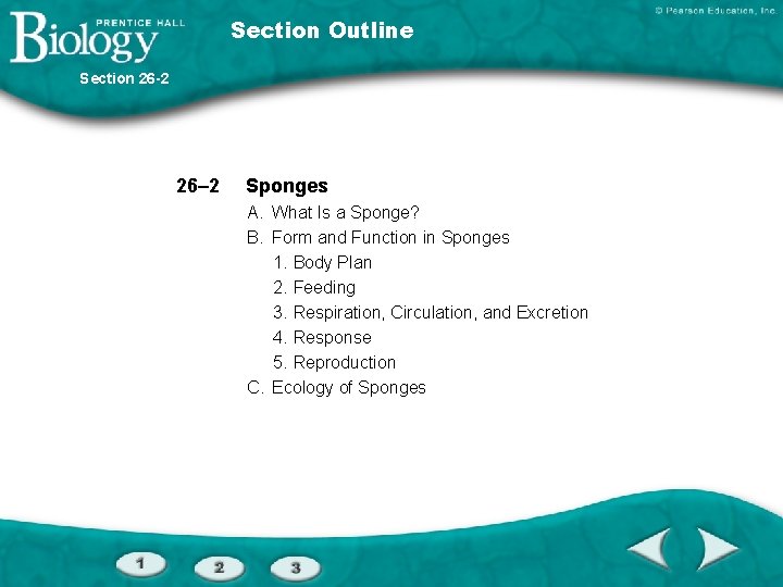 Interest Grabber Section 26 1 Whats the Difference