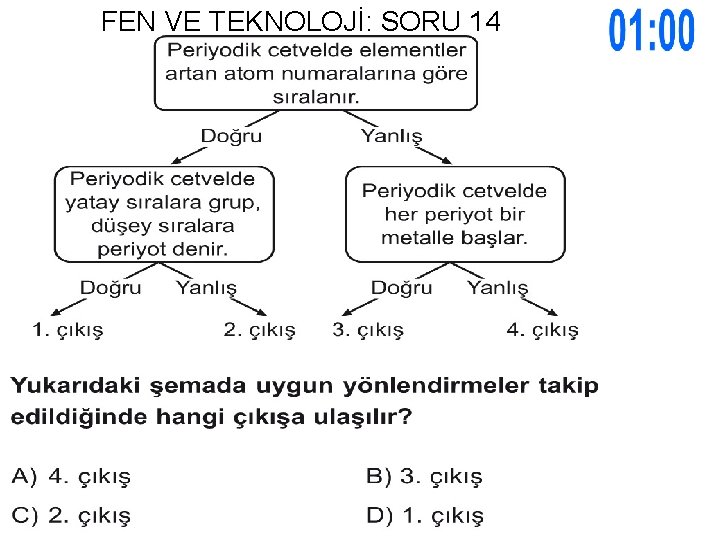 FEN VE TEKNOLOJİ: SORU 14 