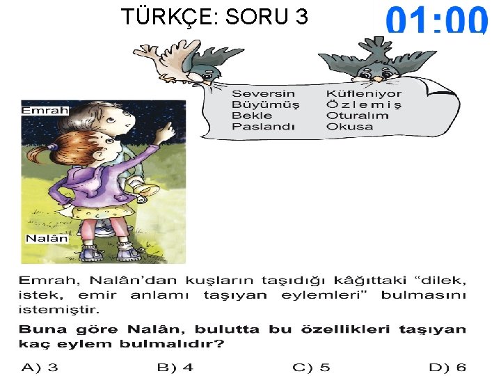 TÜRKÇE: SORU 3 