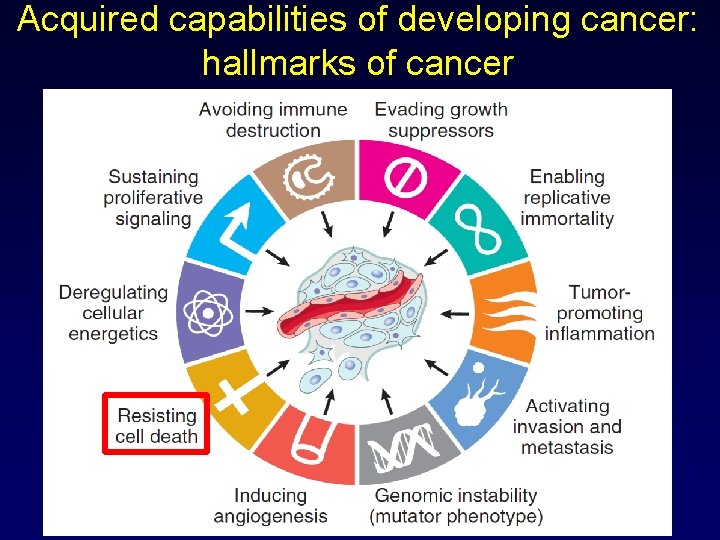 Acquired capabilities of developing cancer: hallmarks of cancer 