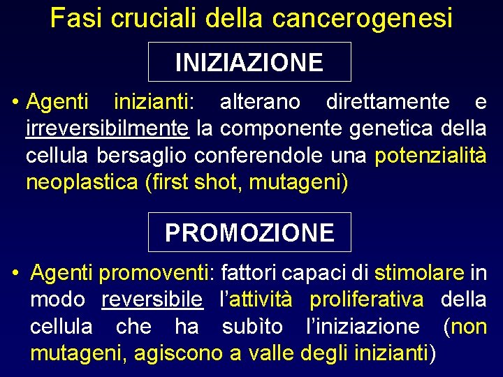 Fasi cruciali della cancerogenesi INIZIAZIONE • Agenti inizianti: alterano direttamente e irreversibilmente la componente