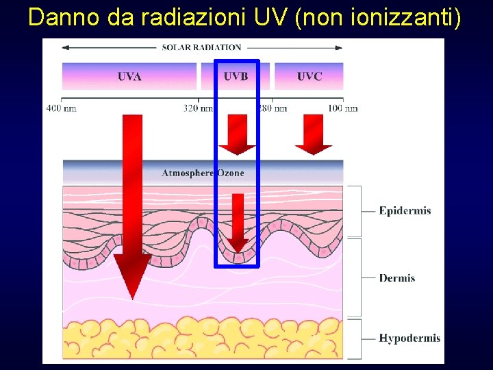 Danno da radiazioni UV (non ionizzanti) 