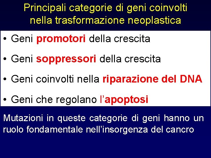 Principali categorie di geni coinvolti nella trasformazione neoplastica • Geni promotori della crescita •