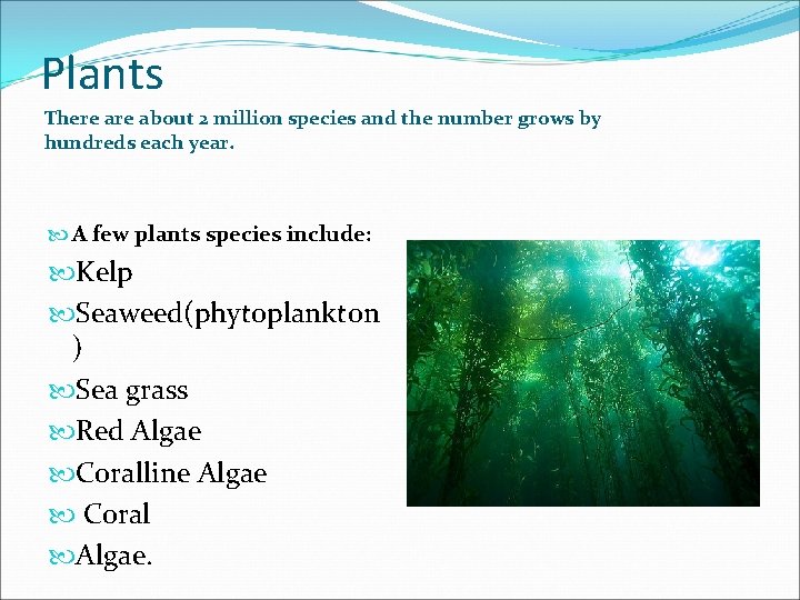 Plants There about 2 million species and the number grows by hundreds each year.