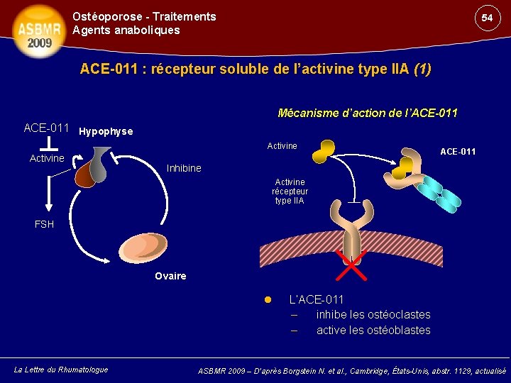 Ostéoporose - Traitements Agents anaboliques 54 ACE-011 : récepteur soluble de l’activine type IIA