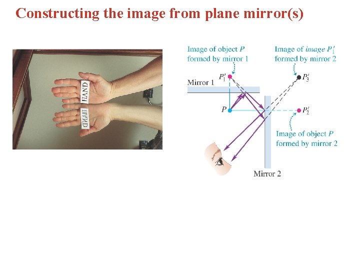 Constructing the image from plane mirror(s) 