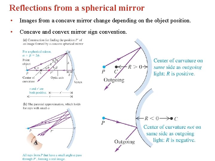 Reflections from a spherical mirror • Images from a concave mirror change depending on