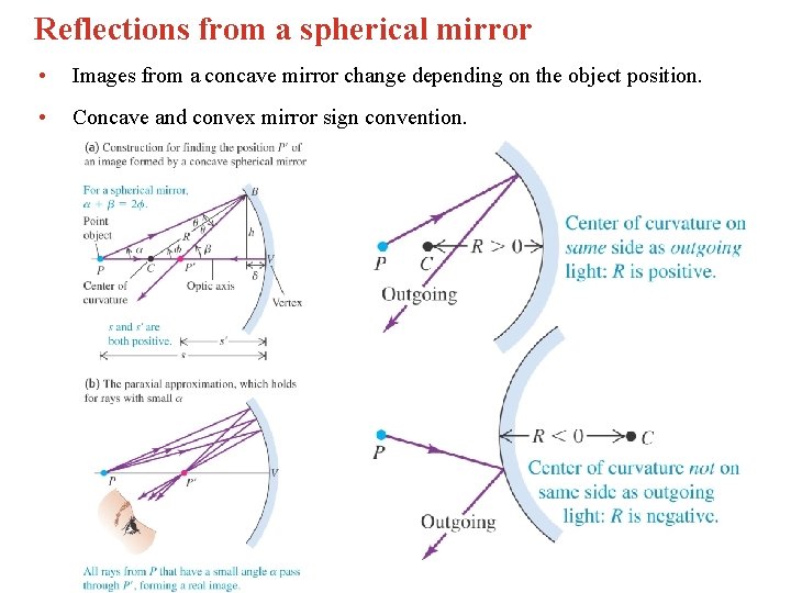Reflections from a spherical mirror • Images from a concave mirror change depending on Reflections from a spherical mirror • Images from a concave mirror change depending on
