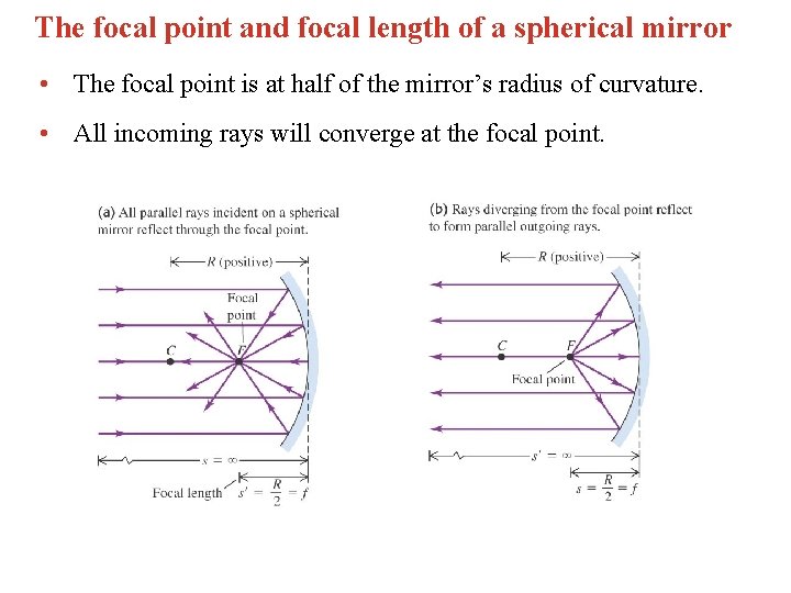 The focal point and focal length of a spherical mirror • The focal point