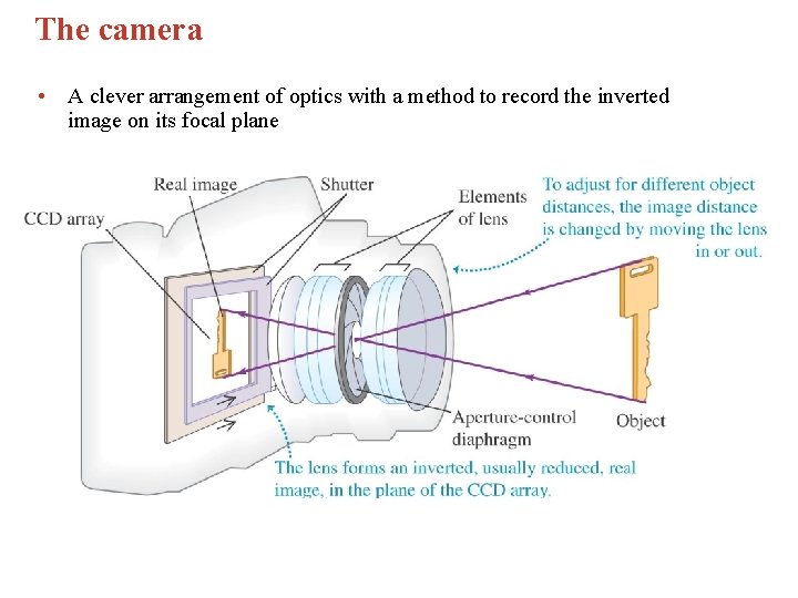 The camera • A clever arrangement of optics with a method to record the