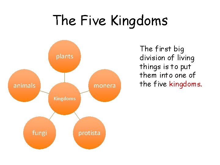 The Five Kingdoms plants animals monera Kingdoms fungi protista The first big division of