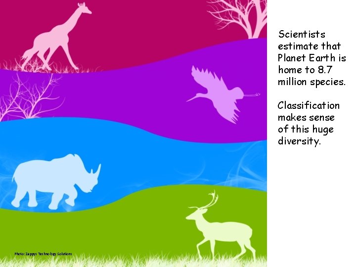 Scientists estimate that Planet Earth is home to 8. 7 million species. Classification makes