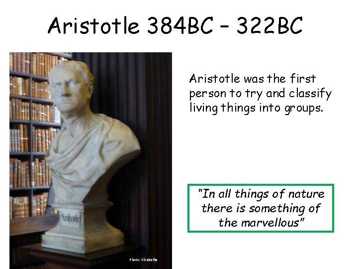 Aristotle 384 BC – 322 BC Aristotle was the first person to try and