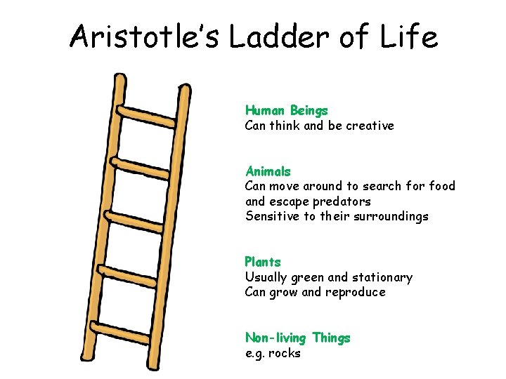 Aristotle’s Ladder of Life Human Beings Can think and be creative Animals Can move