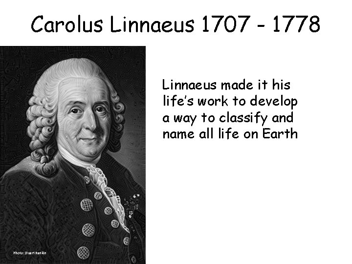 Carolus Linnaeus 1707 - 1778 Linnaeus made it his life’s work to develop a