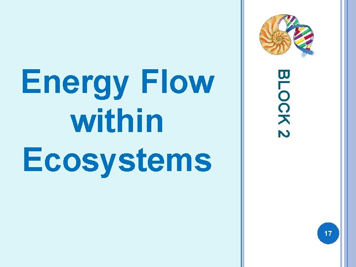 FOOD CHAINS AND FOOD WEBS BLOCK 2 Energy Flow within Ecosystems 17 