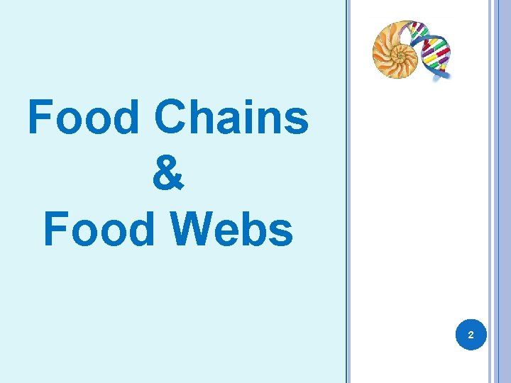 FOOD CHAINS AND FOOD WEBS Food Chains & Food Webs 2 