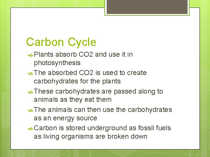 Carbon Cycle Plants absorb CO 2 and use it in photosynthesis The absorbed CO