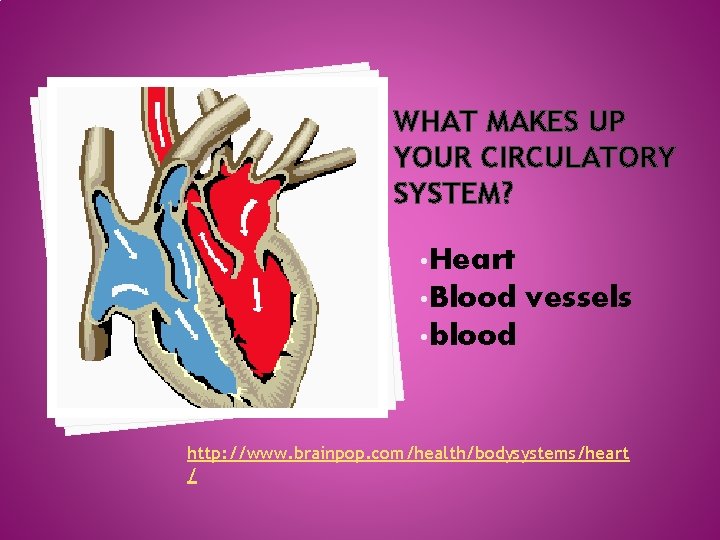 WHAT MAKES UP YOUR CIRCULATORY SYSTEM? • Heart • Blood vessels • blood http: