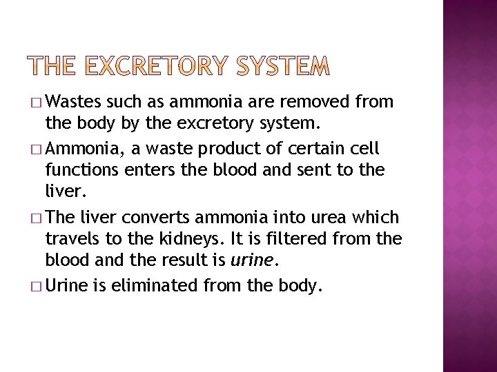 � Wastes such as ammonia are removed from the body by the excretory system.