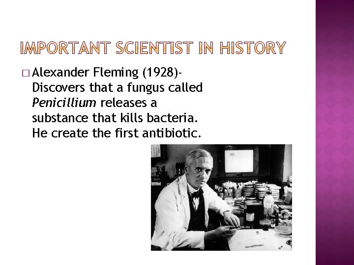 � Alexander Fleming (1928)Discovers that a fungus called Penicillium releases a substance that kills