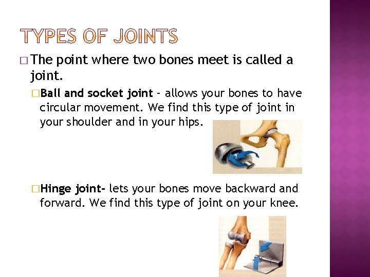 � The point where two bones meet is called a joint. �Ball and socket