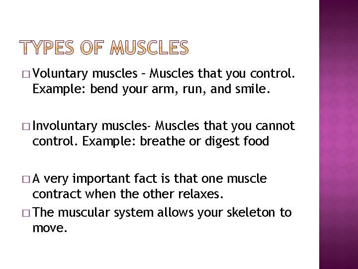 � Voluntary muscles – Muscles that you control. Example: bend your arm, run, and