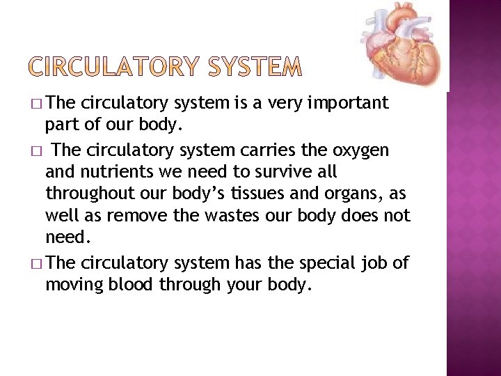 � The circulatory system is a very important part of our body. � The