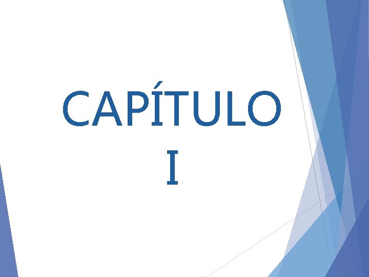 CAPÍTULO I 