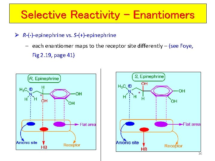 Selective Reactivity - Enantiomers Ø R-(-)-epinephrine vs. S-(+)-epinephrine – each enantiomer maps to the